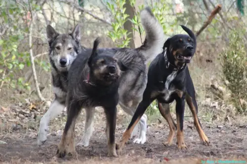 WhatsApp Bild 2023-10-16 um 13.02.49_1d3b8f2b