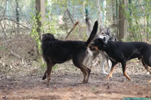 WhatsApp Bild 2023-10-16 um 13.02.49_2f3881bc