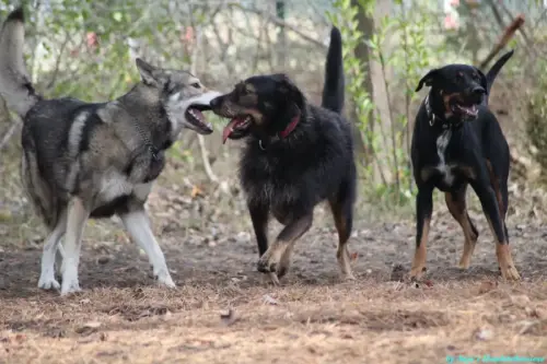 WhatsApp Bild 2023-10-16 um 13.02.50_669720ec