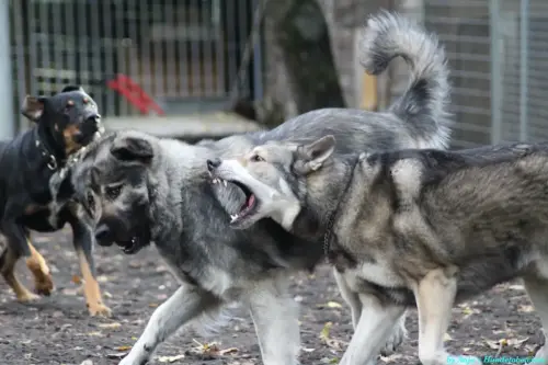 WhatsApp Bild 2023-10-16 um 13.02.50_67a92e93