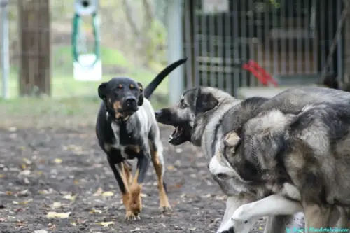 WhatsApp Bild 2023-10-16 um 13.02.51_645a63e8