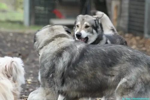 WhatsApp Bild 2023-10-16 um 13.02.52_27417493