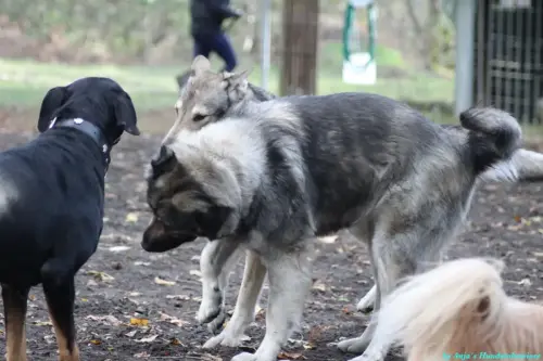 WhatsApp Bild 2023-10-16 um 13.02.52_ba64b95f