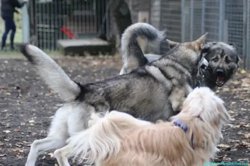 WhatsApp Bild 2023-10-16 um 13.02.53_5aa4b12d