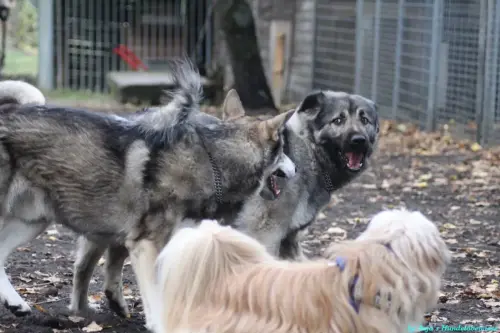 WhatsApp Bild 2023-10-16 um 13.02.53_8411c475