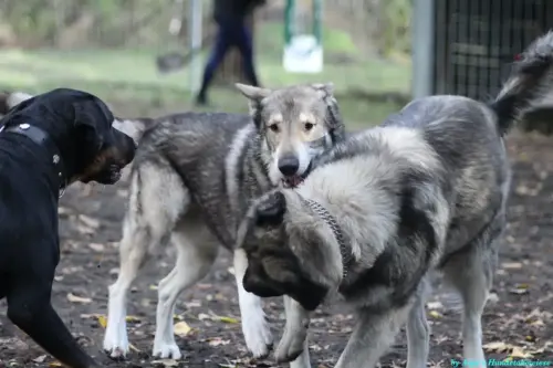 WhatsApp Bild 2023-10-16 um 13.02.53_e3d2dd42