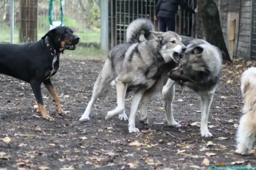 WhatsApp Bild 2023-10-16 um 13.02.54_7afb858c