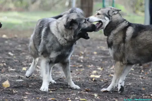 WhatsApp Bild 2023-10-16 um 13.02.55_1a0dd9f4