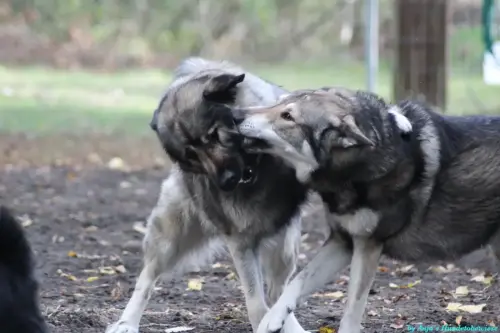 WhatsApp Bild 2023-10-16 um 13.02.55_f7902cb4