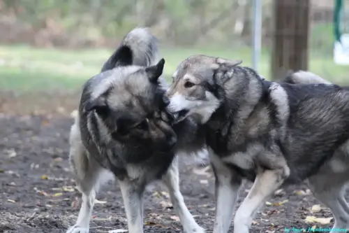 WhatsApp Bild 2023-10-16 um 13.02.56_1d893ef0