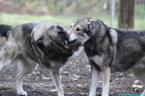 WhatsApp Bild 2023-10-16 um 13.02.56_97a930ac