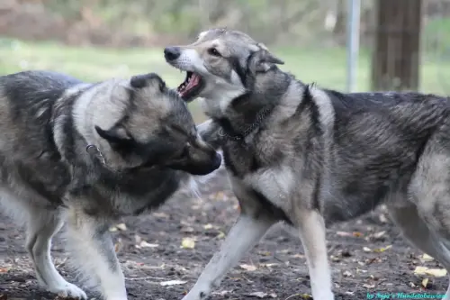 WhatsApp Bild 2023-10-16 um 13.02.57_adb07d44