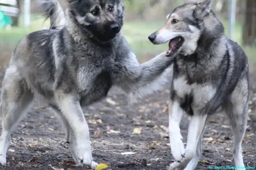 WhatsApp Bild 2023-10-16 um 13.02.58_2546fc23