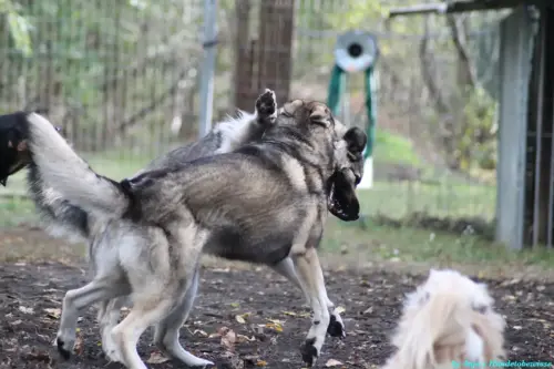 WhatsApp Bild 2023-10-16 um 13.02.59_5a72c9a2