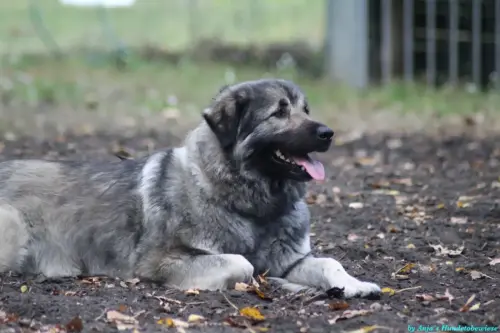 WhatsApp Bild 2023-10-16 um 13.02.59_bd5d5a08