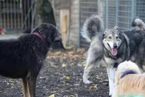 WhatsApp Bild 2023-10-16 um 13.03.00_c172872d