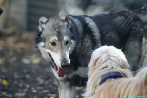 WhatsApp Bild 2023-10-16 um 13.03.01_0bedfb1f