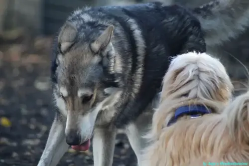 WhatsApp Bild 2023-10-16 um 13.03.01_70ab56ee