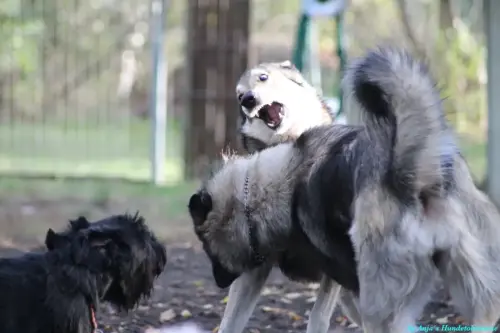 WhatsApp Bild 2023-10-16 um 13.03.02_122a044b