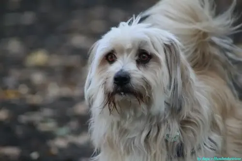 WhatsApp Bild 2023-10-16 um 13.03.02_4d04dd05