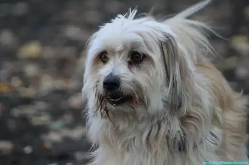 WhatsApp Bild 2023-10-16 um 13.03.02_e851abe7