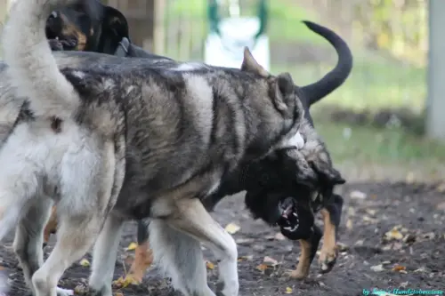 WhatsApp Bild 2023-10-16 um 13.03.03_09737488