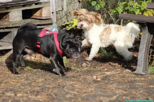 WhatsApp Bild 2023-10-23 um 10.53.51_7227c756