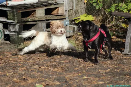 WhatsApp Bild 2023-10-23 um 10.56.25_f2653a6e