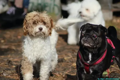 WhatsApp Bild 2023-10-23 um 10.57.07_0d217e68