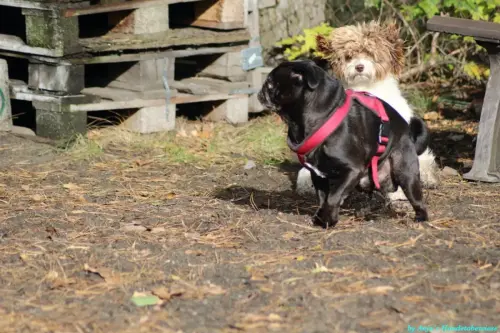 WhatsApp Bild 2023-10-23 um 10.57.07_f55b870b