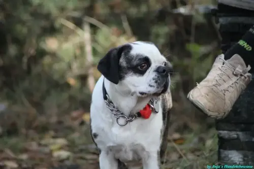 WhatsApp Bild 2023-10-23 um 10.57.08_71d48c98