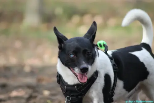 WhatsApp Bild 2023-10-23 um 10.57.08_d6672159