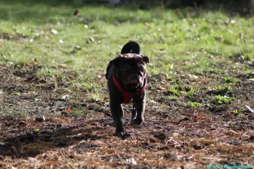 WhatsApp Bild 2023-10-23 um 10.57.47_27d639d9