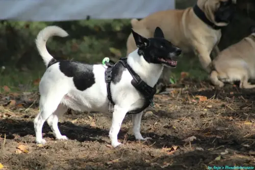 WhatsApp Bild 2023-10-23 um 10.57.48_1240cf05