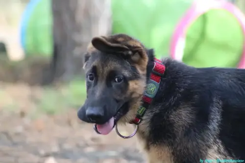 WhatsApp Bild 2023-10-23 um 10.57.48_49b759b6