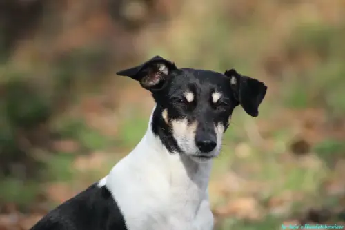 WhatsApp Bild 2023-10-23 um 10.57.49_53624beb