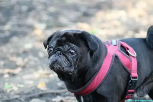 WhatsApp Bild 2023-10-23 um 10.57.51_cae49295