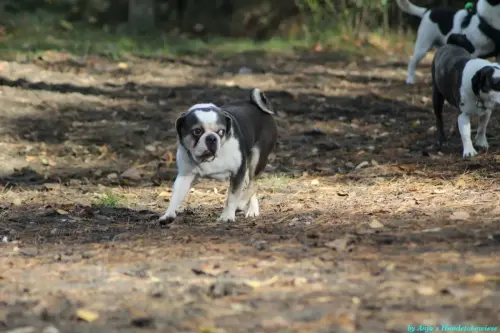 WhatsApp Bild 2023-10-23 um 10.57.52_bf4b46b8