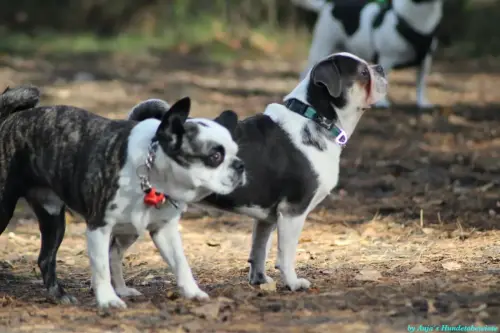 WhatsApp Bild 2023-10-23 um 10.57.52_f6558767