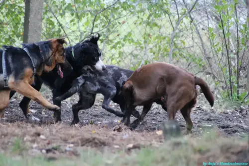 WhatsApp Bild 2023-10-23 um 10.57.53_5a7d217d