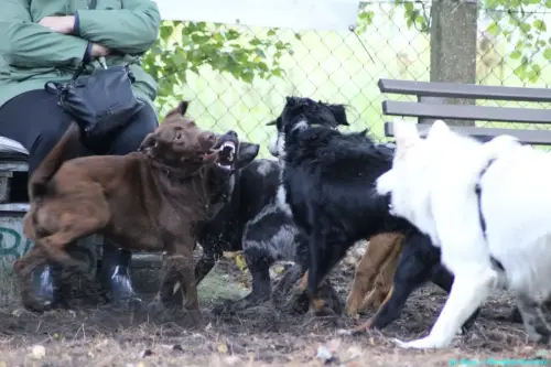 WhatsApp Bild 2023-10-23 um 10.57.54_1ec3f581