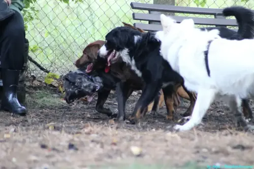 WhatsApp Bild 2023-10-23 um 10.57.55_592cf50a