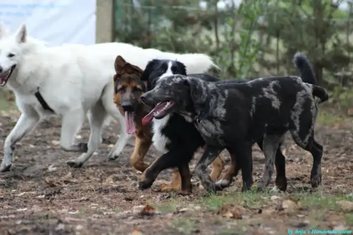 WhatsApp Bild 2023-10-23 um 10.57.56_174578b1