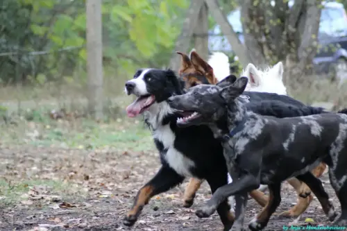 WhatsApp Bild 2023-10-23 um 10.57.56_ebb52a01