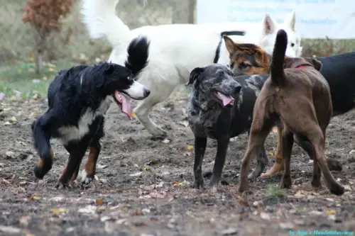 WhatsApp Bild 2023-10-23 um 10.57.57_4f1f65ed