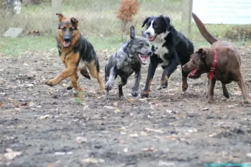 WhatsApp Bild 2023-10-23 um 10.57.58_16ae8c94