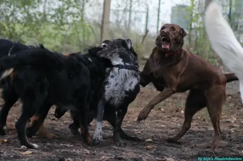 WhatsApp Bild 2023-10-23 um 10.57.59_2ea21900