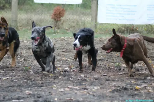 WhatsApp Bild 2023-10-23 um 10.57.59_d3ef56e1