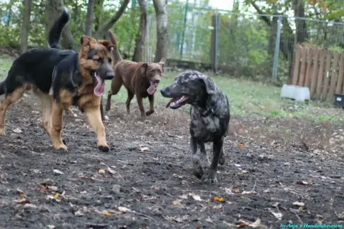 WhatsApp Bild 2023-10-23 um 10.58.01_ea75a0cb