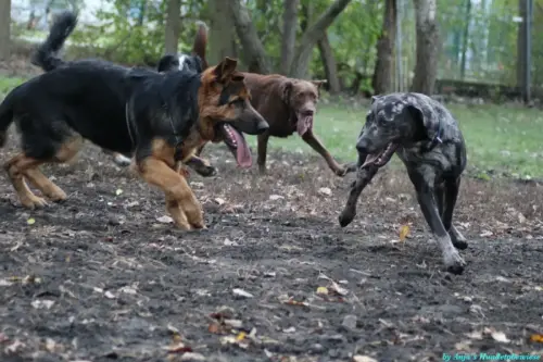 WhatsApp Bild 2023-10-23 um 10.58.01_fa69a730